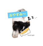 のんあんこむぎ（個別スタンプ：2）