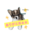 のんあんこむぎ（個別スタンプ：8）