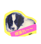 のんあんこむぎ（個別スタンプ：13）