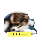 のんあんこむぎ（個別スタンプ：14）