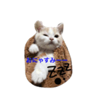 reo1203（個別スタンプ：3）