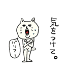 猫面人（個別スタンプ：29）