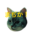 一朗とゆかいな愛馬たち（個別スタンプ：2）