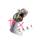 一朗とゆかいな愛馬たち（個別スタンプ：4）