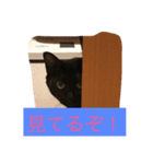ハナコちゃんが1匹（個別スタンプ：2）