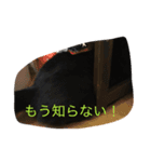 ハナコちゃんが1匹（個別スタンプ：4）