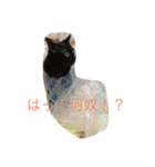 ハナコちゃんが1匹（個別スタンプ：5）