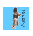 杏奈スタンプ（個別スタンプ：8）