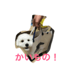 まめちゃん！（個別スタンプ：3）