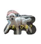 まめちゃん！（個別スタンプ：4）