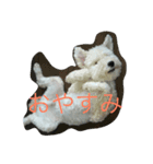 まめちゃん！（個別スタンプ：5）