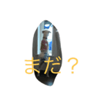 まめちゃん！（個別スタンプ：7）