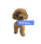 モコモコ アン。（個別スタンプ：3）