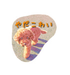 モコモコ アン。（個別スタンプ：7）