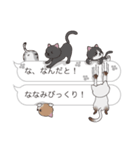 【ななみ】猫だらけの吹き出し（個別スタンプ：20）