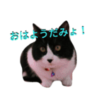 わびさびブラザーズ（個別スタンプ：1）