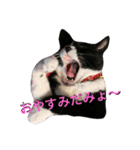 わびさびブラザーズ（個別スタンプ：2）