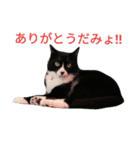 わびさびブラザーズ（個別スタンプ：6）