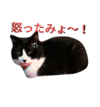 わびさびブラザーズ（個別スタンプ：8）