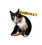 わびさびブラザーズ（個別スタンプ：10）