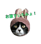 わびさびブラザーズ（個別スタンプ：11）