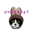 わびさびブラザーズ（個別スタンプ：12）
