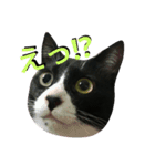 わびさびブラザーズ（個別スタンプ：13）
