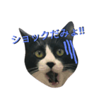 わびさびブラザーズ（個別スタンプ：14）