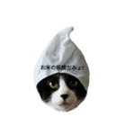 わびさびブラザーズ（個別スタンプ：16）