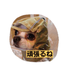 よく使う口癖スタンプ（個別スタンプ：6）