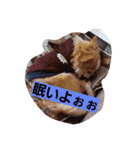 よく使う口癖スタンプ（個別スタンプ：7）