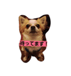 よく使う口癖スタンプ（個別スタンプ：10）