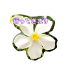 花 はな スタンプ（個別スタンプ：15）