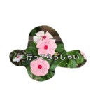 花 はな スタンプ（個別スタンプ：16）
