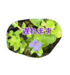 花 はな スタンプ（個別スタンプ：20）