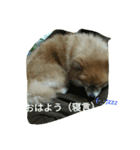 そして伝説が始まった…（個別スタンプ：2）