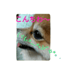 そして伝説が始まった…（個別スタンプ：3）