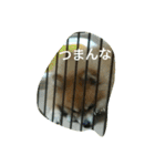 そして伝説が始まった…（個別スタンプ：5）