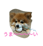 そして伝説が始まった…（個別スタンプ：6）