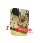 そして伝説が始まった…（個別スタンプ：8）