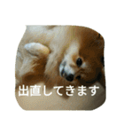 そして伝説が始まった…（個別スタンプ：9）