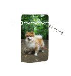 そして伝説が始まった…（個別スタンプ：11）
