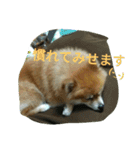 そして伝説が始まった…（個別スタンプ：13）
