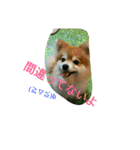 そして伝説が始まった…（個別スタンプ：14）