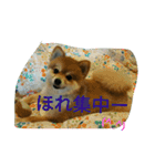 そして伝説が始まった…（個別スタンプ：16）
