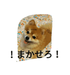 そして伝説が始まった…（個別スタンプ：18）