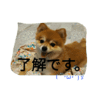 そして伝説が始まった…（個別スタンプ：19）