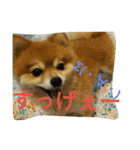 そして伝説が始まった…（個別スタンプ：20）