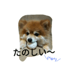 そして伝説が始まった…（個別スタンプ：23）