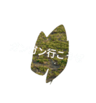 そして伝説が始まった…（個別スタンプ：24）